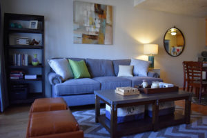 Newly furnished living room